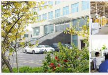 中国全自动水泥空心砖机的领军品牌！